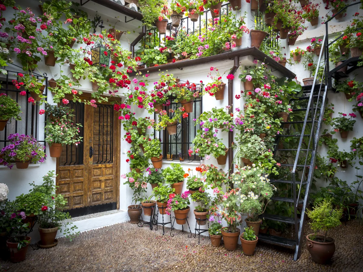 Outdoor Plants That Thrive in Any Garden